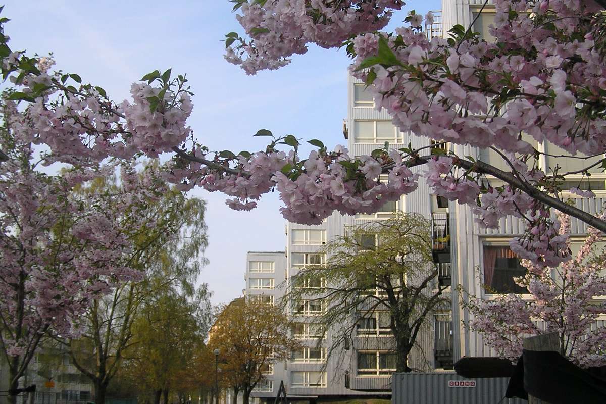 Norrby Tvärgata 14, bild 1 av 4