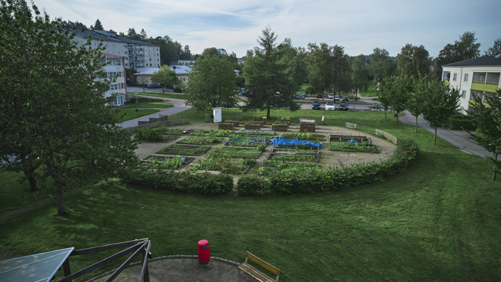 Stadsodling på Hässleholmen